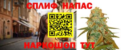 стафф Обнинск